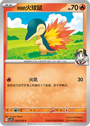 Ethan's Cyndaquil #028