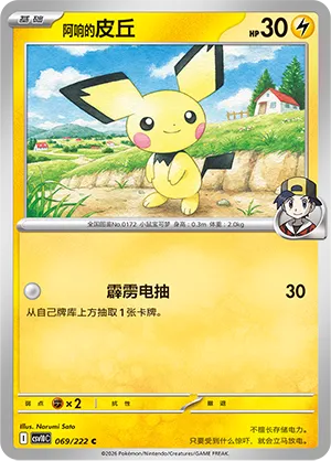 Ethan's Pichu #069