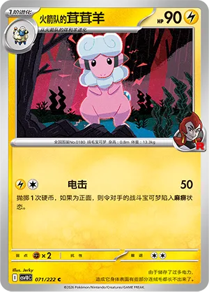 Team Rocket's Flaaffy #071