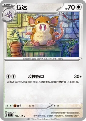 Raticate #020