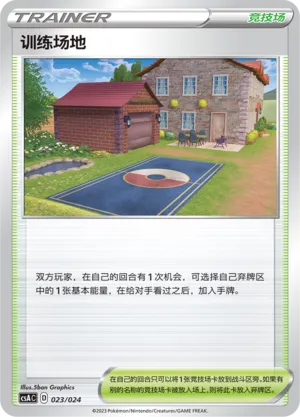 Training Court #023