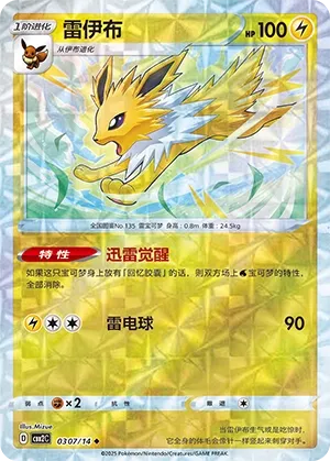 Jolteon #0307