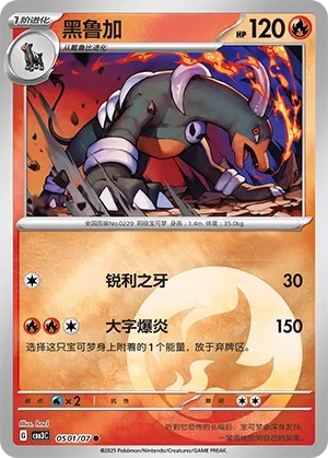 Houndoom #0501