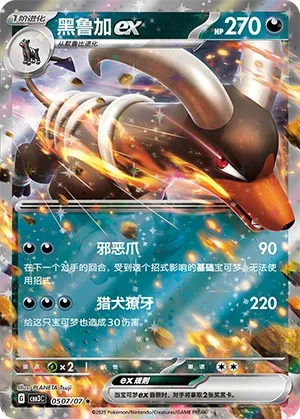 Houndoom ex #0507