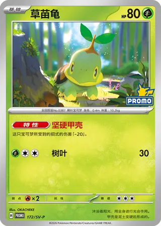 Turtwig #172