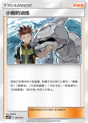 Brock's Training #307