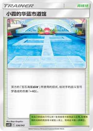 Misty's Cerulean City Gym #336