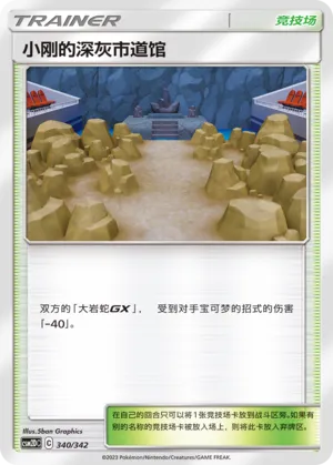 Brock's Pewter City Gym #340