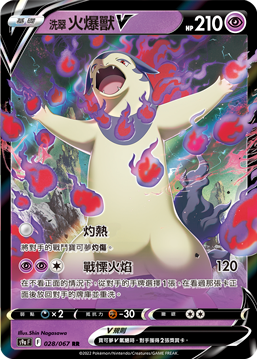 Typhlosion V #028