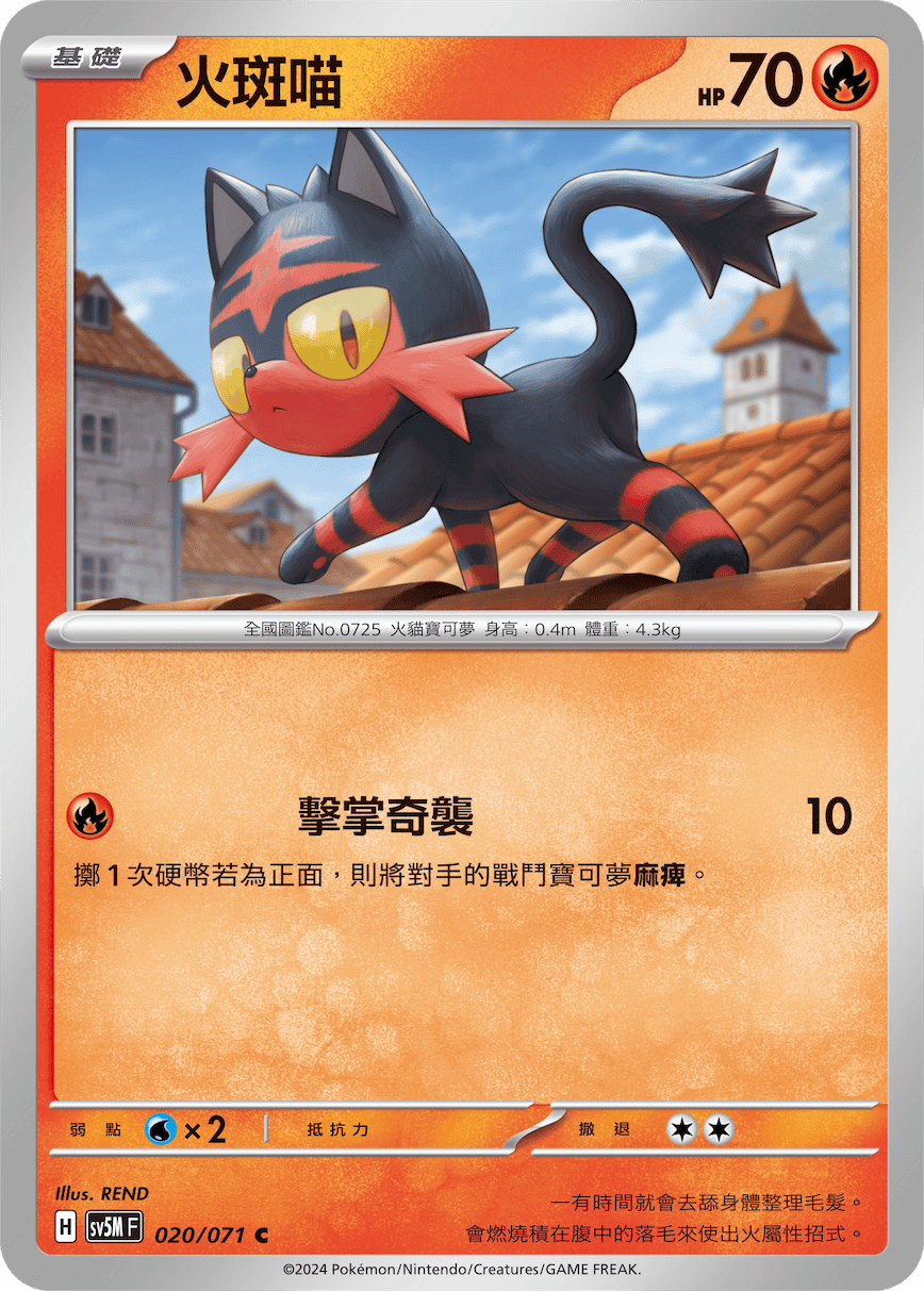 Litten #020