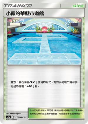 Misty's Cerulean City Gym #170
