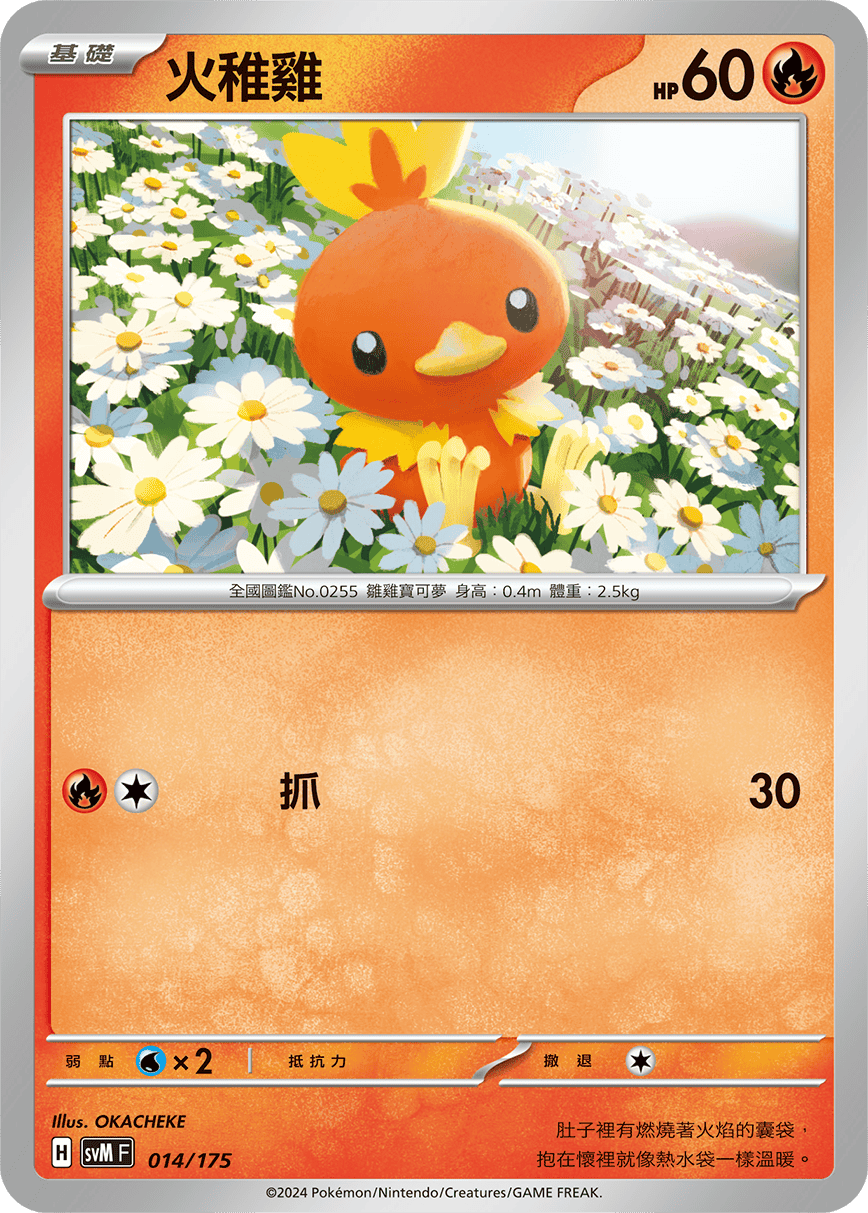 Torchic #014