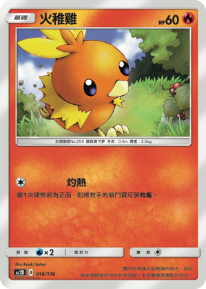 Torchic #016