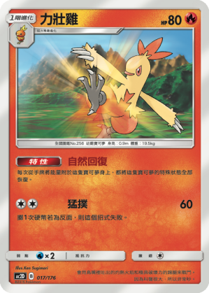 Combusken #017