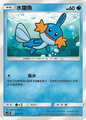 Mudkip #043