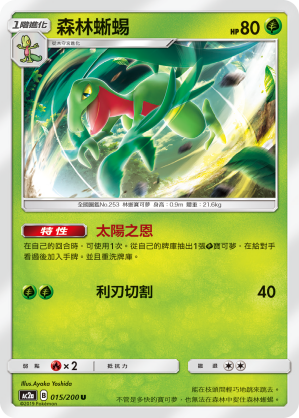 Grovyle #015