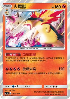 Typhlosion #010