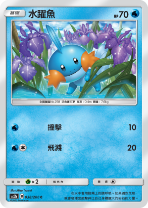 Mudkip #038