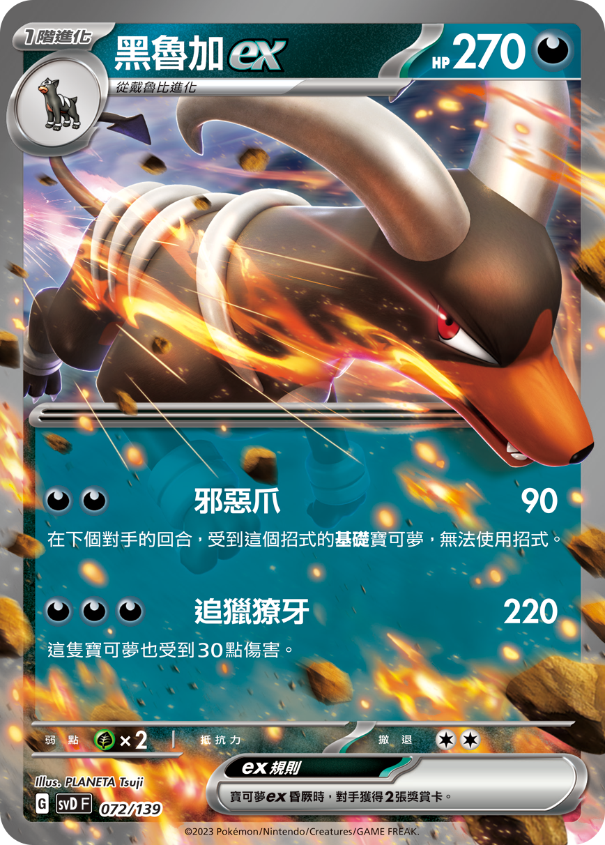 Houndoom ex #072