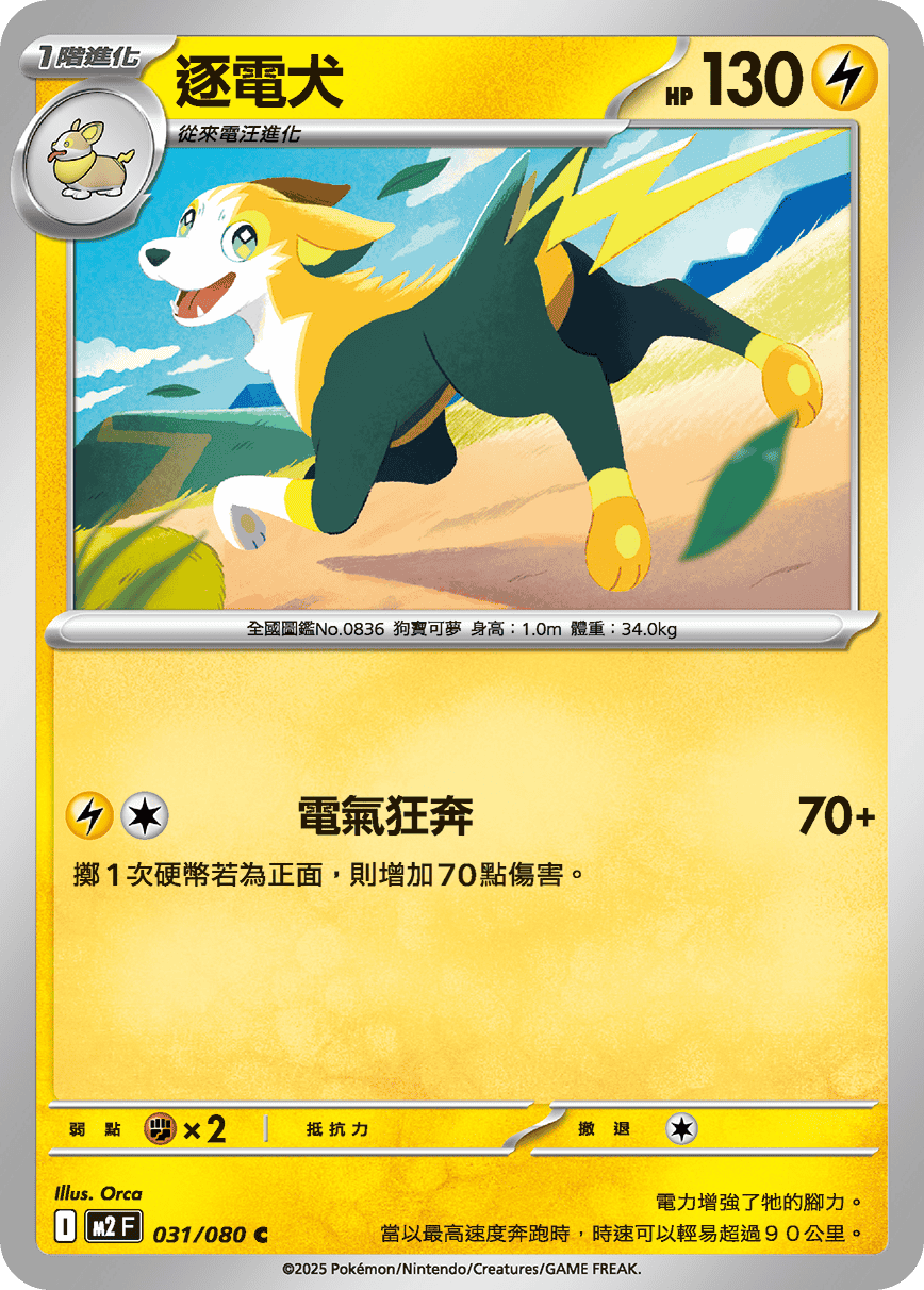 Boltund #031