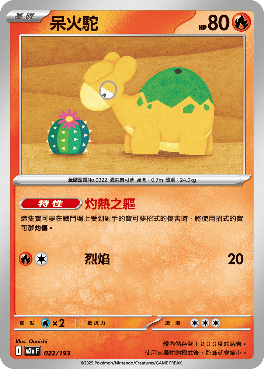 Numel #058