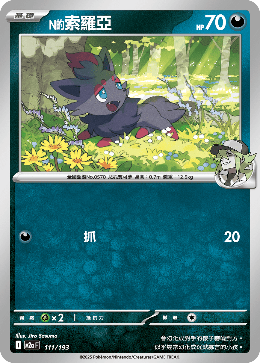 N's Zorua #293
