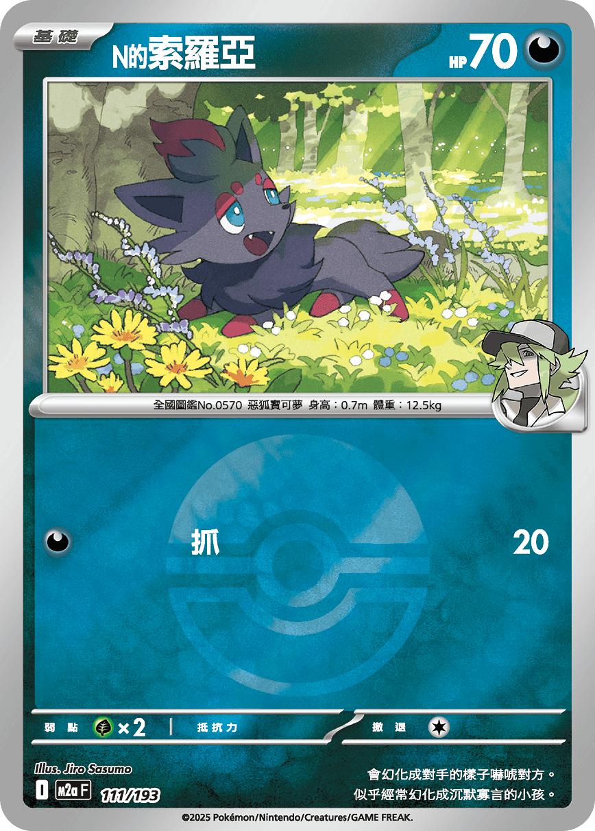 N's Zorua #294
