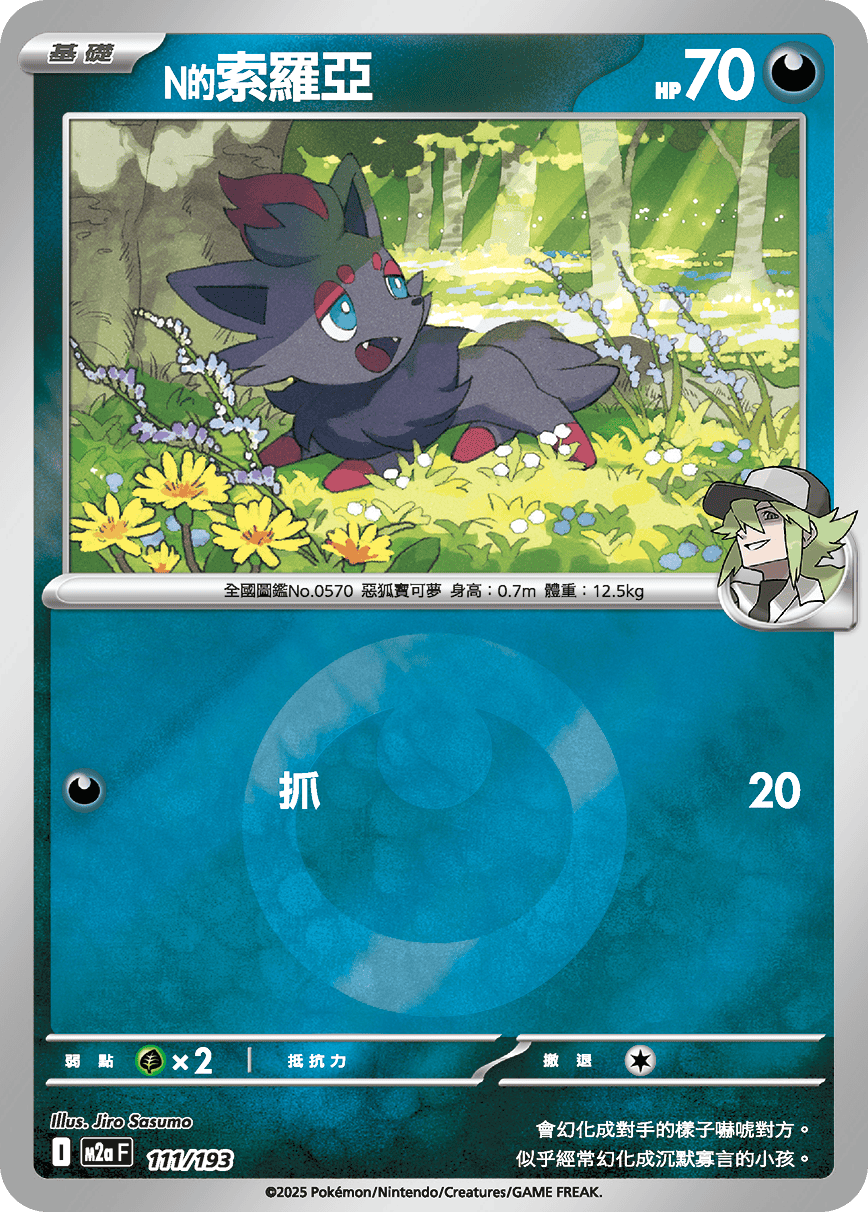 N's Zorua #295