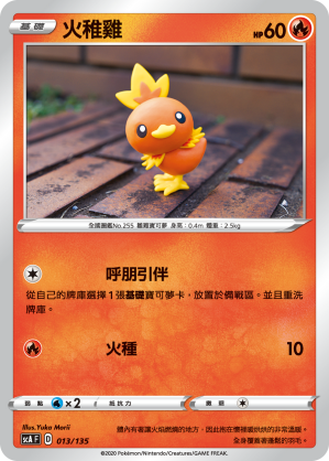 Torchic #013
