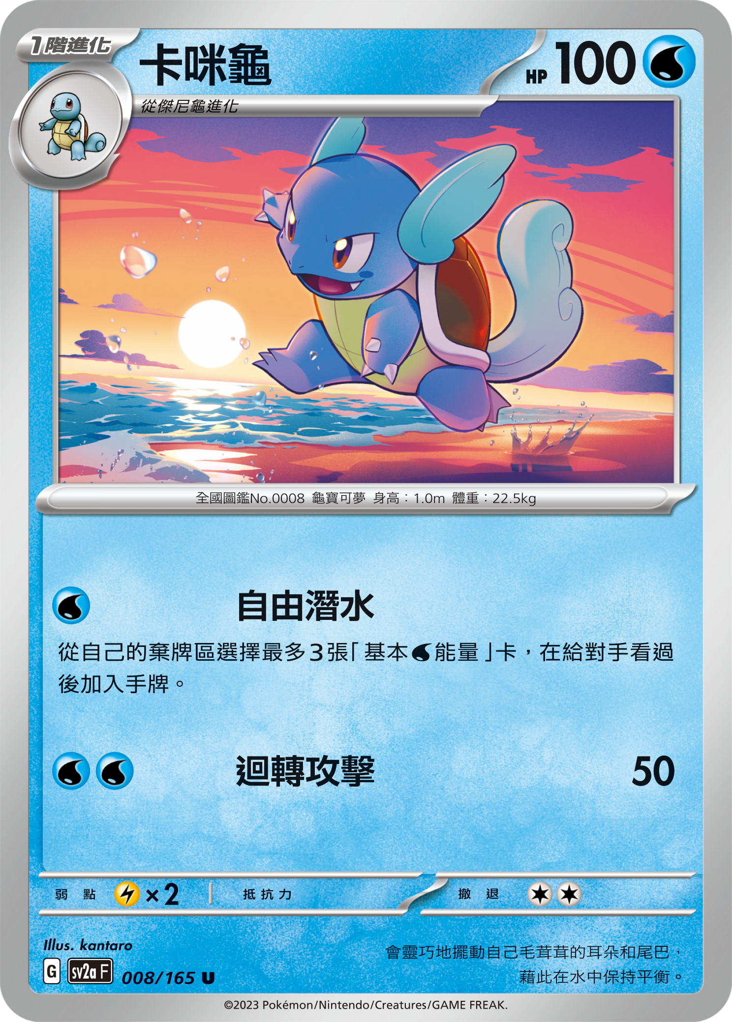 Wartortle #013