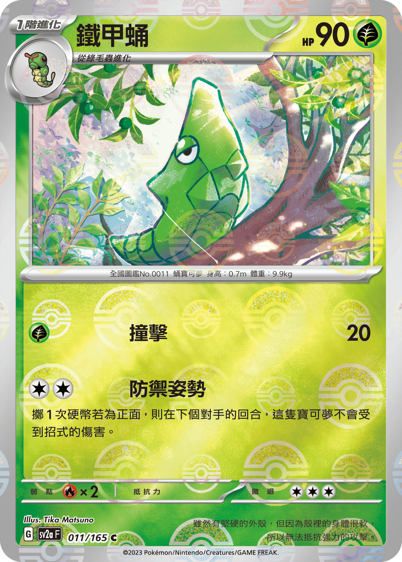 Metapod #019