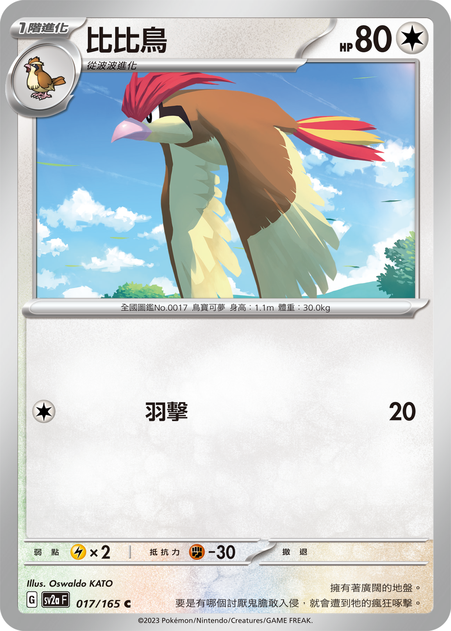 Pidgeotto #030