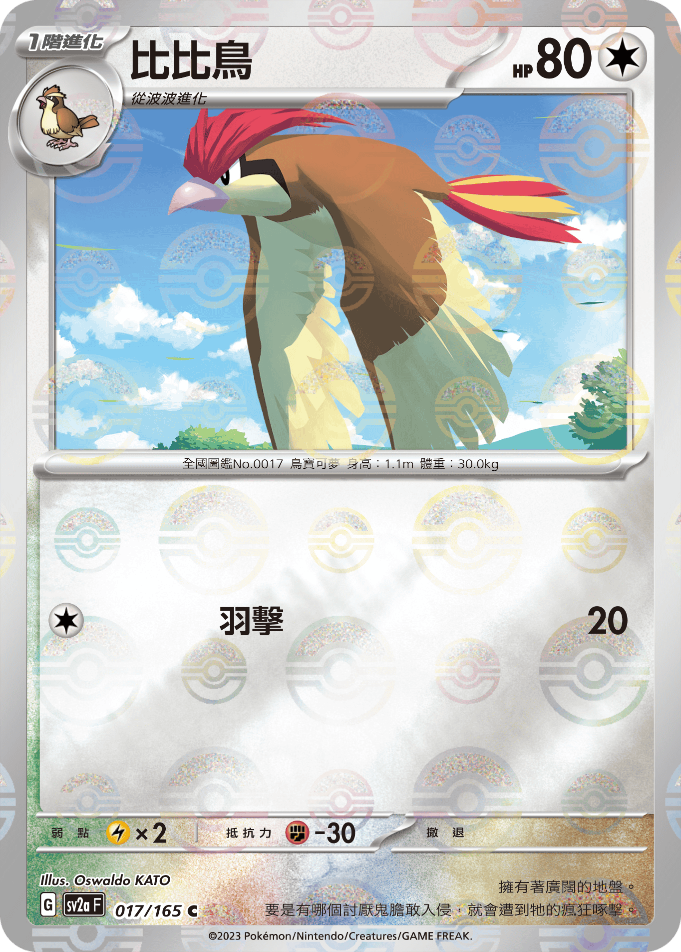 Pidgeotto #031