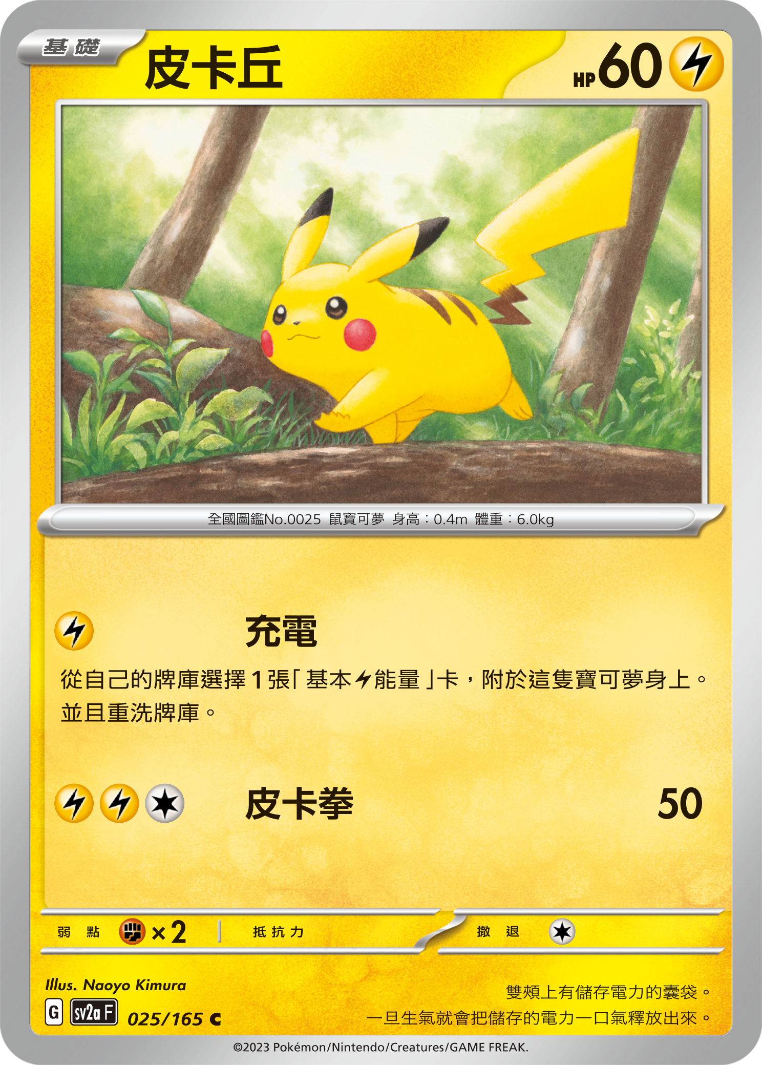 Pikachu #045