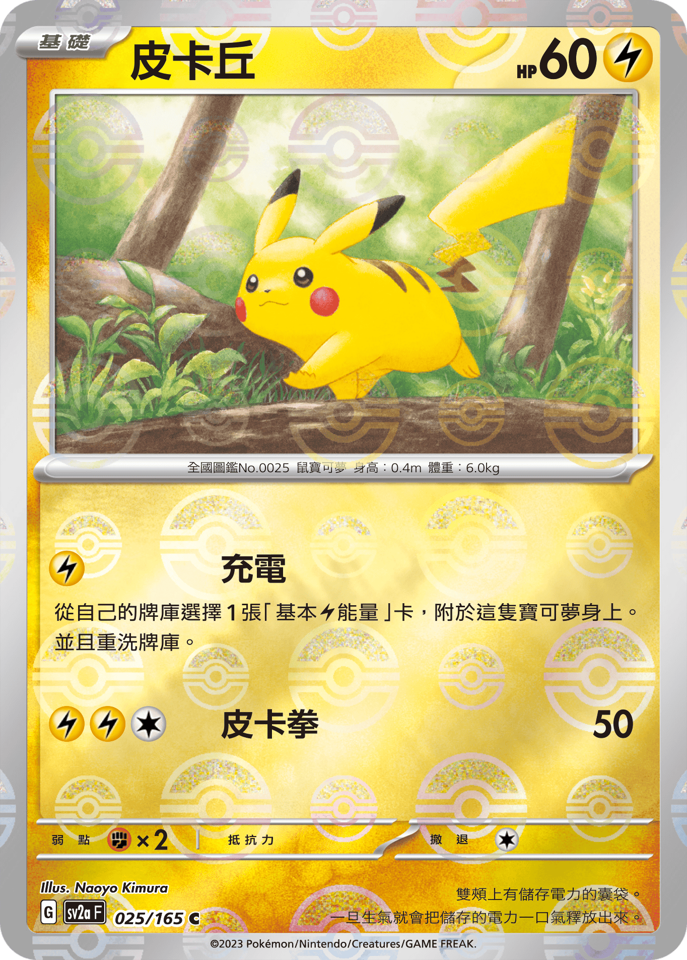 Pikachu #046