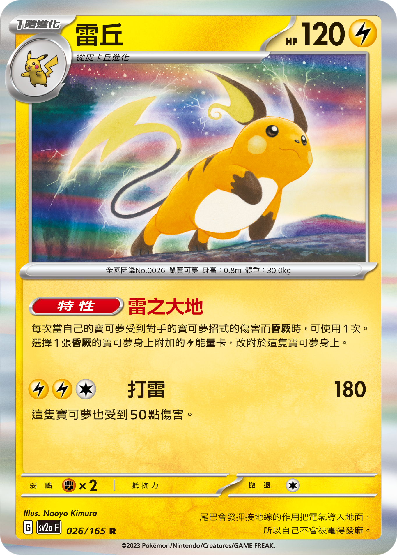 Raichu #047