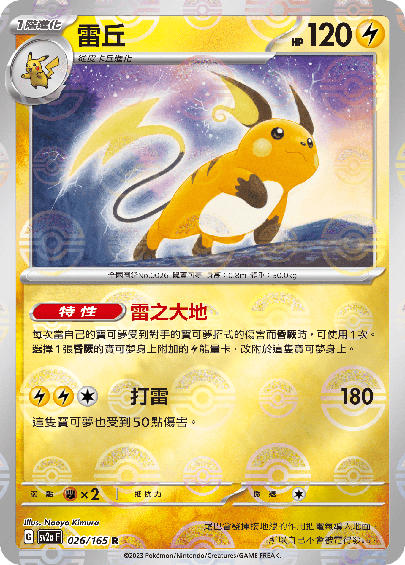 Raichu #048
