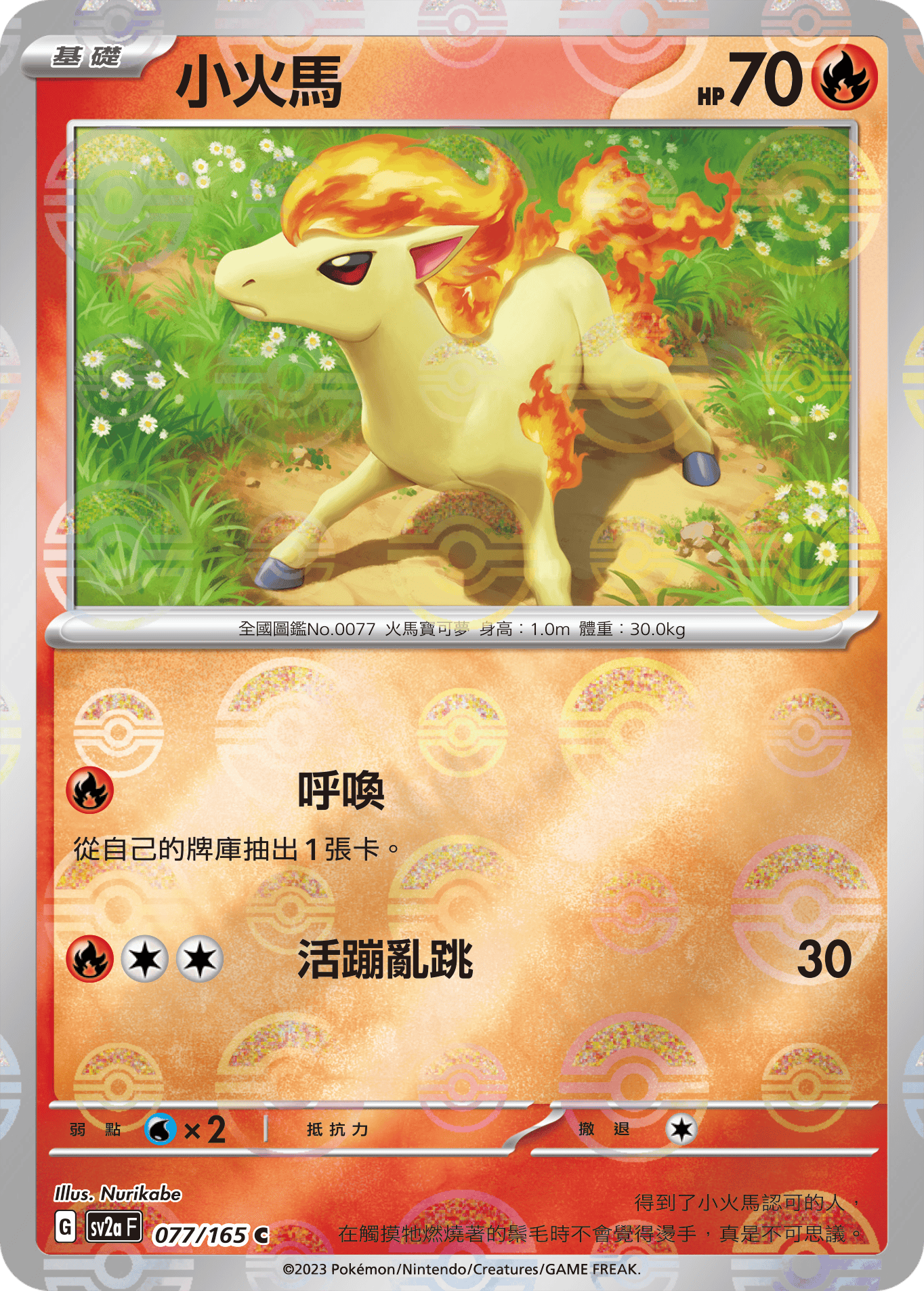 Ponyta #146