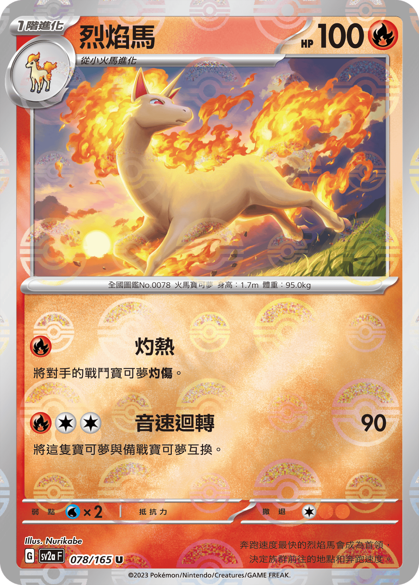 Rapidash #148