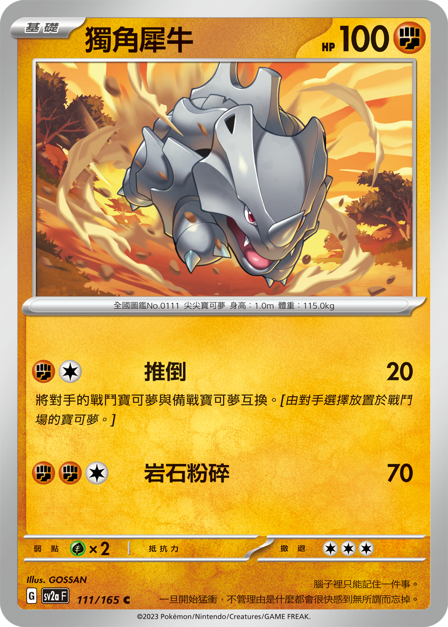 Rhyhorn #213