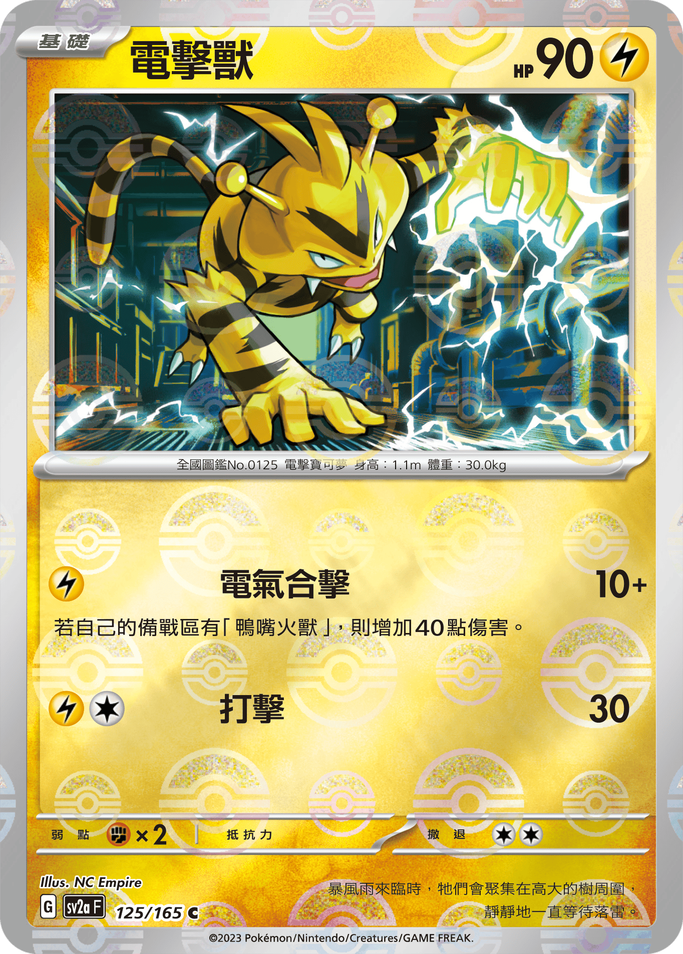 Electabuzz #240