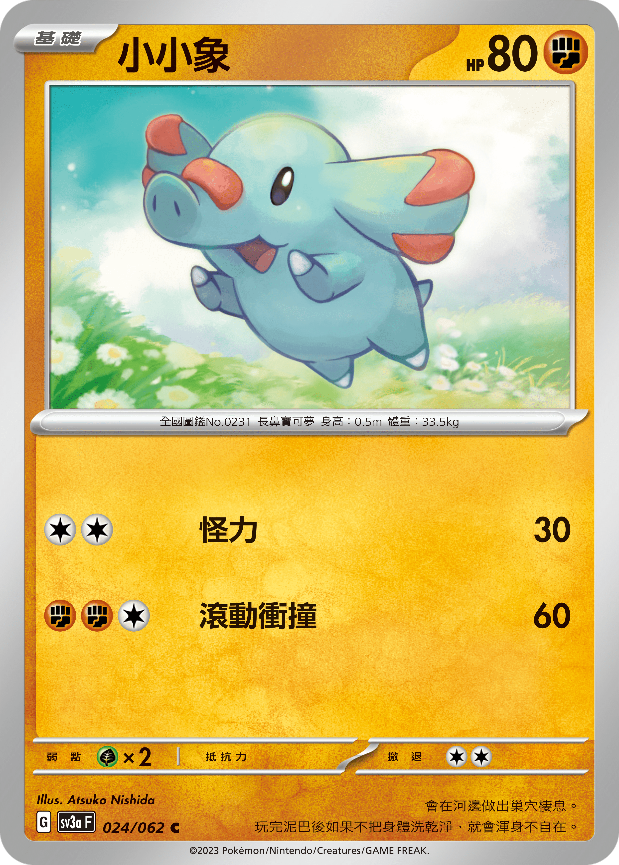 Phanpy #024