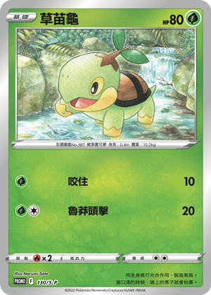Turtwig #060