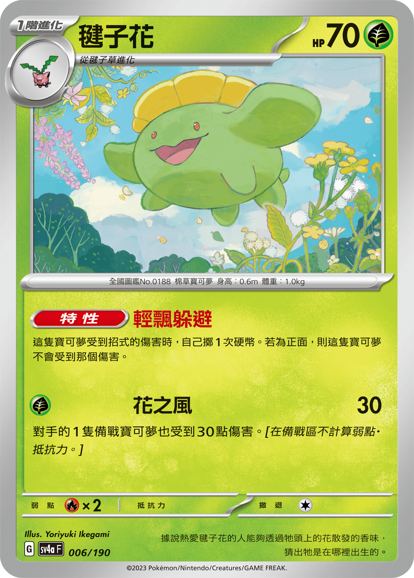 Skiploom #006