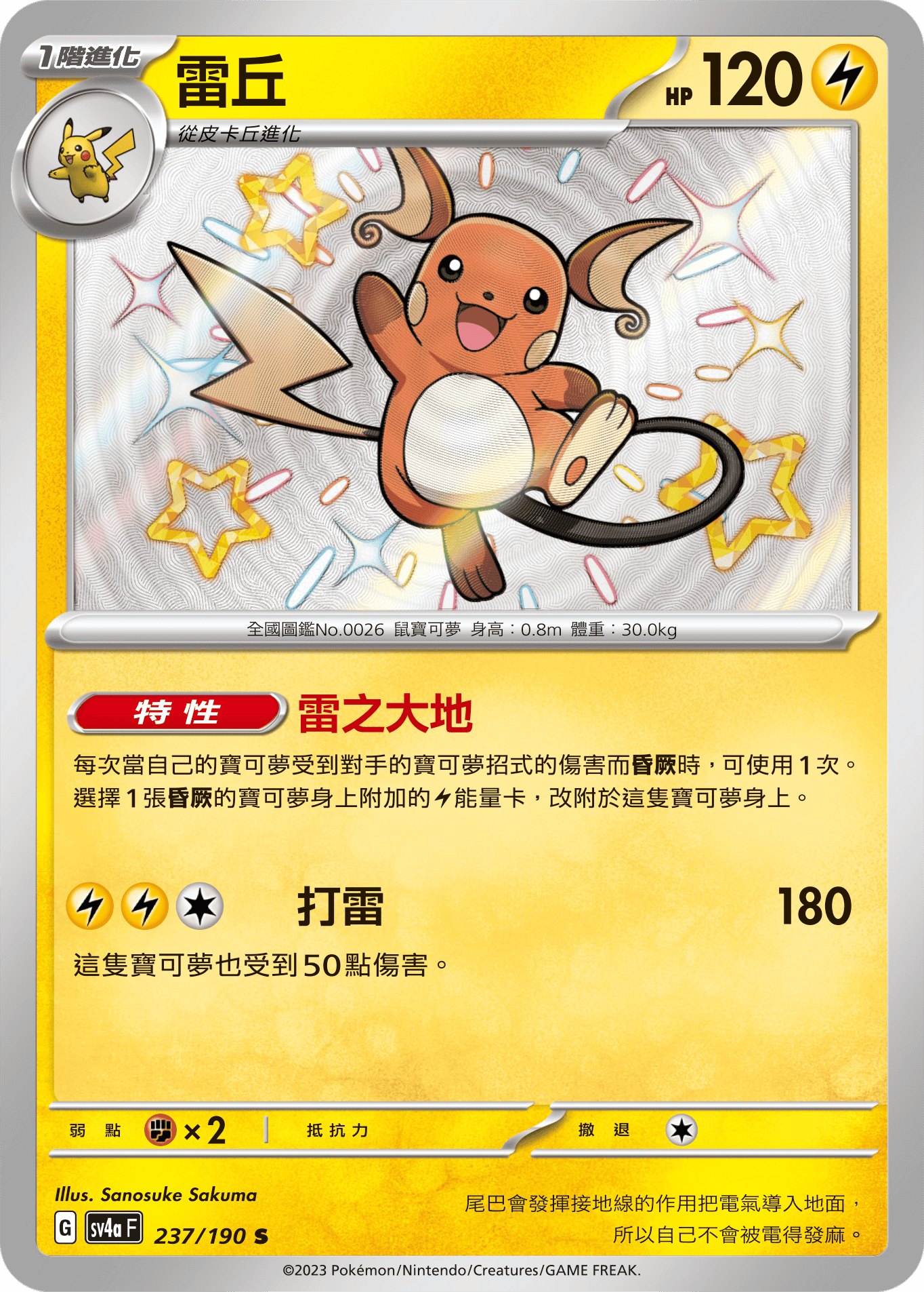 Raichu #237