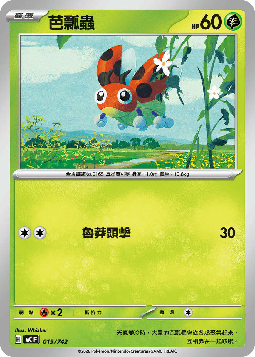 Ledyba #022