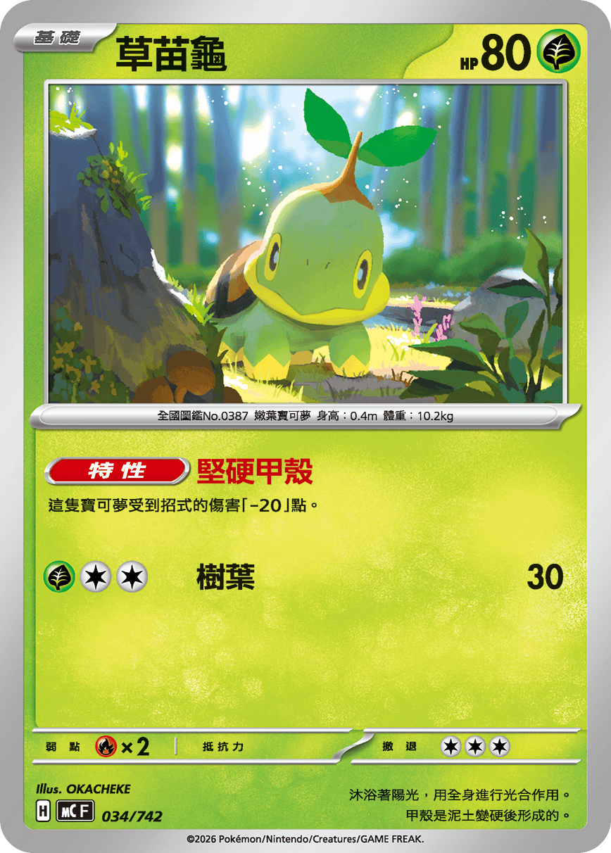 Turtwig #039