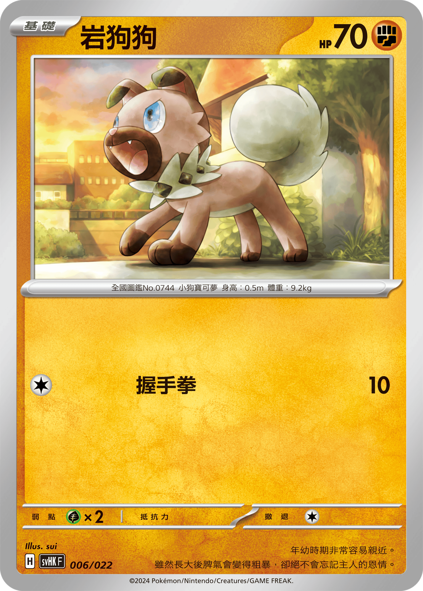Rockruff #006