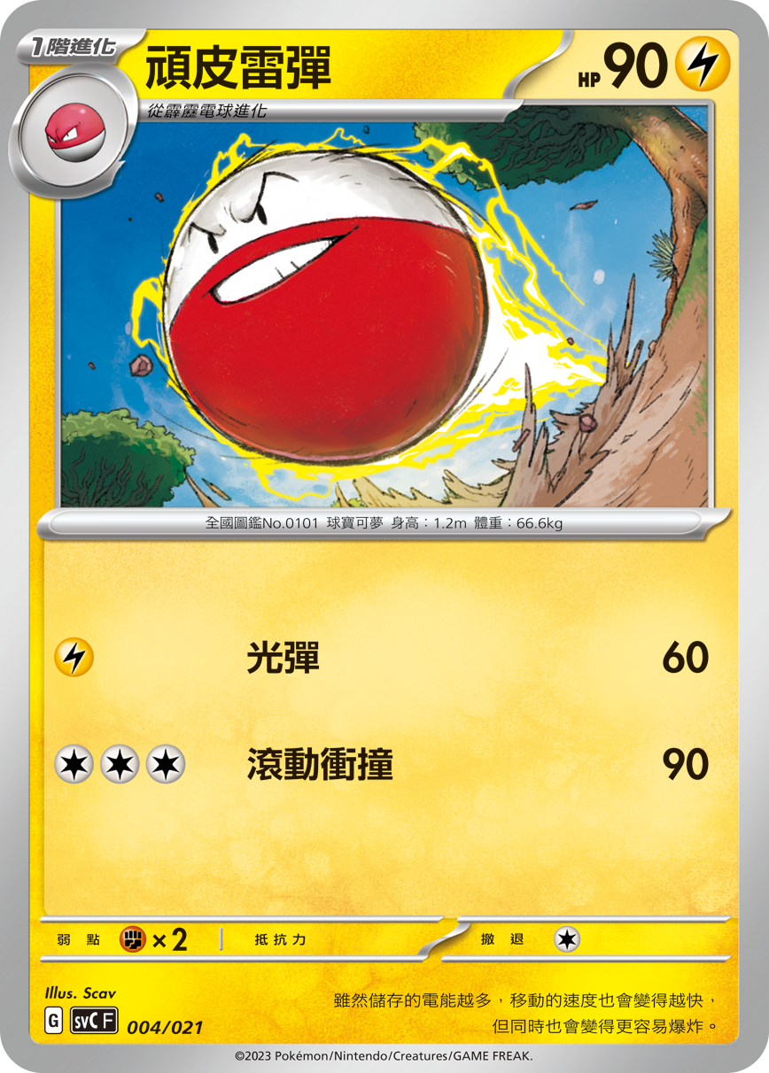 Electrode #004