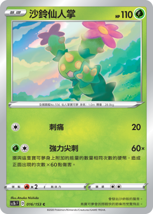 Maractus #016